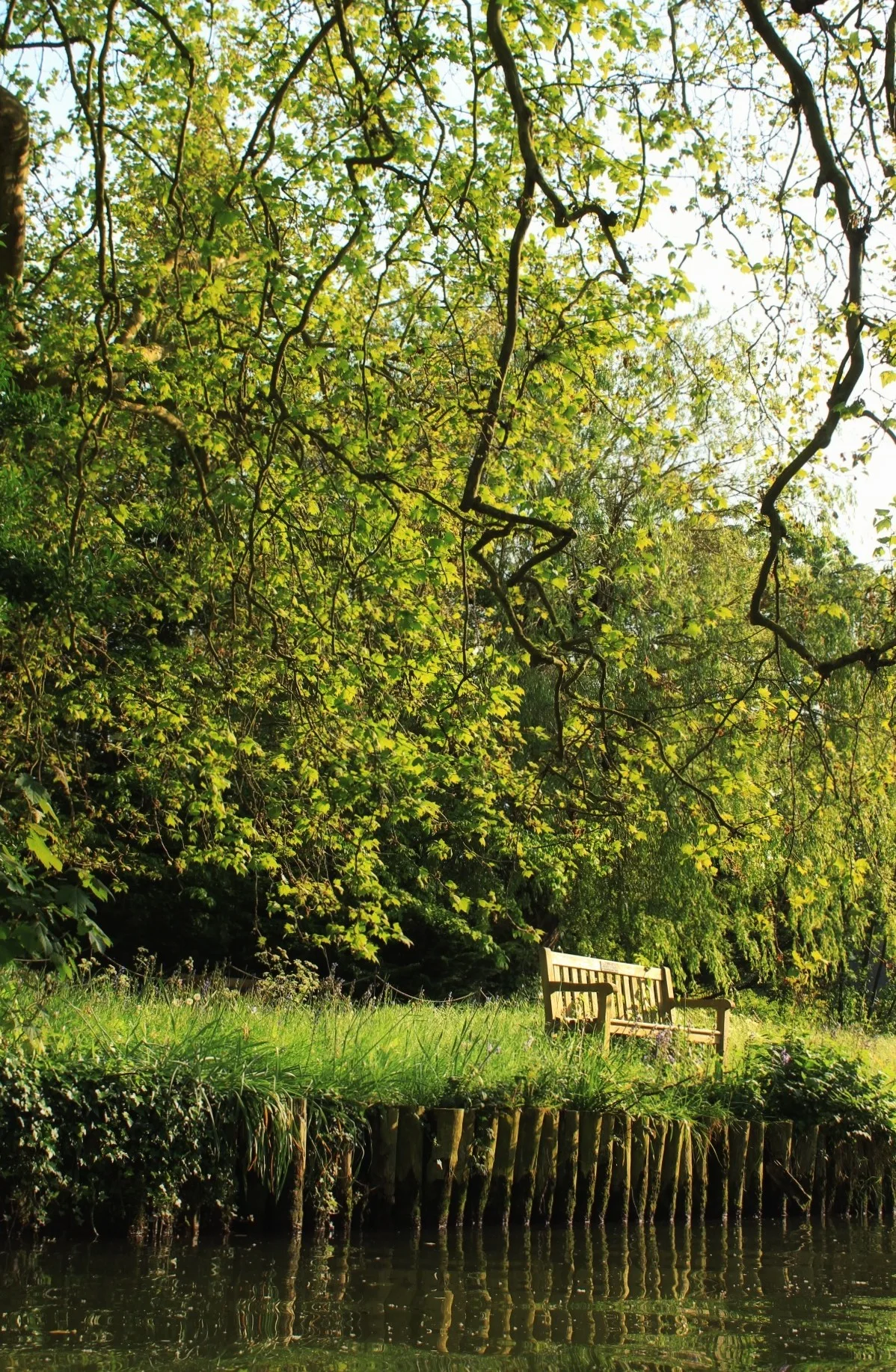 Cambridge 7